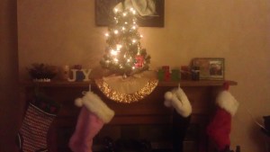 Our Charlie Brown Christmas Tree :)