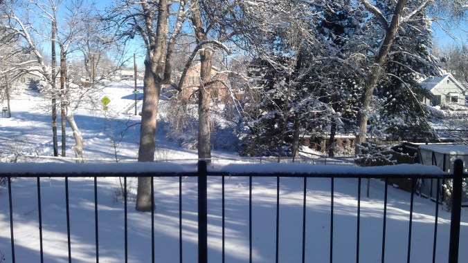 The view from the balcony of our backyard: the Greenbelt is right there, and I've been loving the snowy runs along it - so beautiful! 