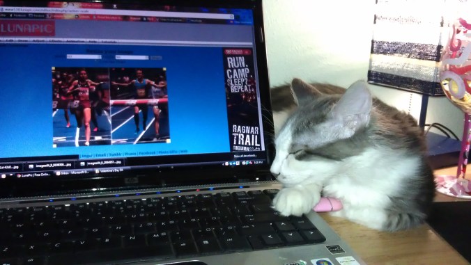 Harry helping me get some CR work done.