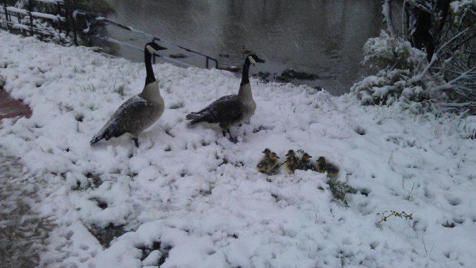 Snow on Mother's Day!