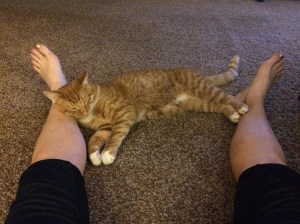 What Lloyd likes to do after I get back from a run: cuddle feet to paws :)