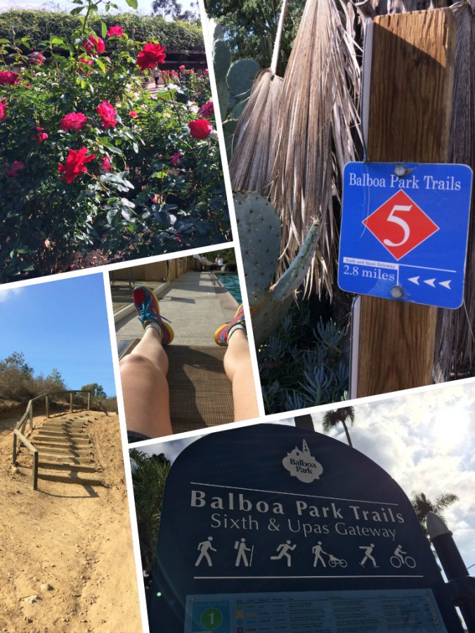 Gorgeous and warm miles around Balboa Park in San Diego