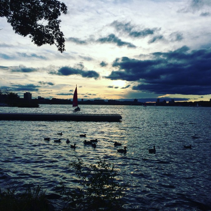 #seenonmyrun along the Charles River Esplanade